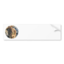 Rabbit Bumper Sticker