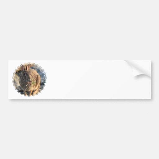 Rabbit Bumper Sticker