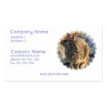 Rabbit Business Card