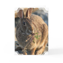 Rabbit Greeting Card
