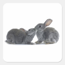 Rabbit Kiss Sticker