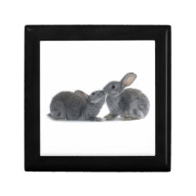 Rabbit Kiss Trinket Boxes