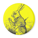 Rabbit Magnet