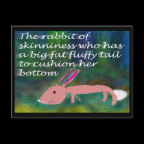 Rabbit of Skinniness [postcard] postcards