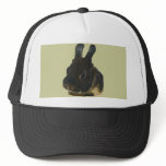 Rabbit Pet hats