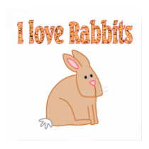Rabbit Poster posters