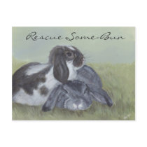 Rabbit Rescue Card Post Card