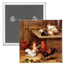 Rabbit rooster hens farm animals bunnies button