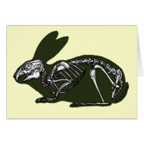rabbit skeleton greeting cards