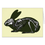 rabbit skeleton cards