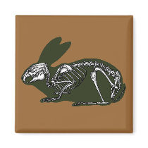 rabbit skeleton fridge magnets