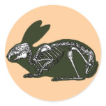 rabbit skeleton stickers