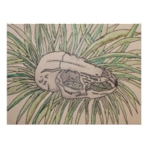 Rabbit Skull Photo Art