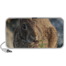 Rabbit Speakers