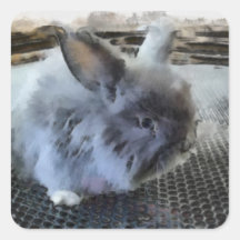 Rabbit  Sticker