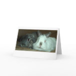 Rabbits Cards