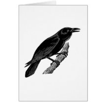 Rabe raven grußkarte