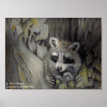 Raccoon at Home Posters