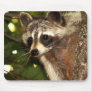 Raccoon "Bandit" Mousepad