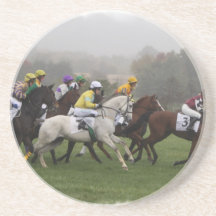 Race Horse Field Coaster