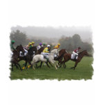 Race Horse Field Ladies Fitted T-Shirt
