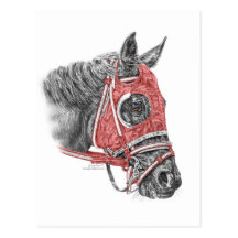 Race Horse Red Silks Portrait Post Cards