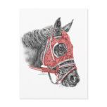 Race Horse Red Silks Portrait postcards
