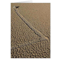 Racetrack Playa Sliding Stones Moving Rocks Greeting Cards