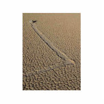 Racetrack Playa Sliding Stones Moving Rocks photo sculptures