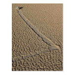 Racetrack Playa Sliding Stones Moving Rocks Post Card