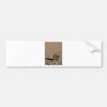 Racetrack Playa Sliding Stones Mud Bumper Stickers