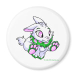 Racing green Cybunny magnets