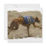 Racing Greyhound Dog Invitation
