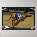 Racing Greyhound Dog Poster Print