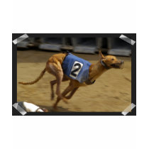 Racing Greyhound Ladies Fitted T-Shirt