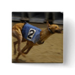 Racing Greyhound Square Pin buttons