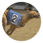 Racing Greyhound Stickers 