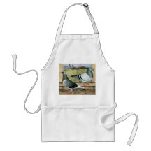 Racing Homers in Loft Apron