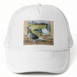 Racing Homers in Loft Mesh Hat