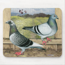 Racing Homers in Loft Mouse Pads