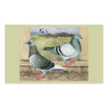 Racing Homers in Loft Rectangle Sticker