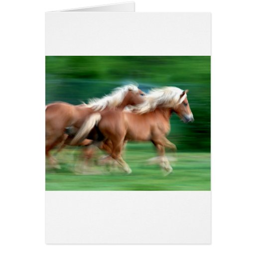 Racing Palomino Horses Greeting Card