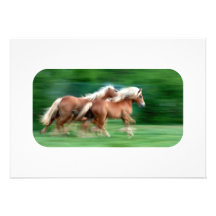 Racing Palomino Invitations