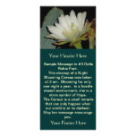 Rack: Beauty in the Darkness rack cards