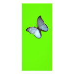 Rack Card Butterfly Freiburg Germany Blue rack cards