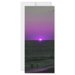 Rack card purple beach sunset rack cards