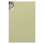 Racoon At Home Stationery