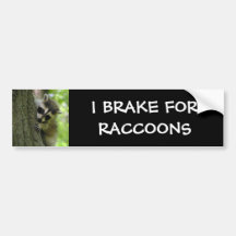 Racoon Baby Bumper Sticker