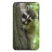 Racoon Baby iPod Case-Mate Case