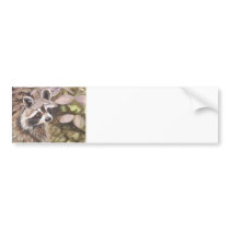 Racoon Bumper Sticker